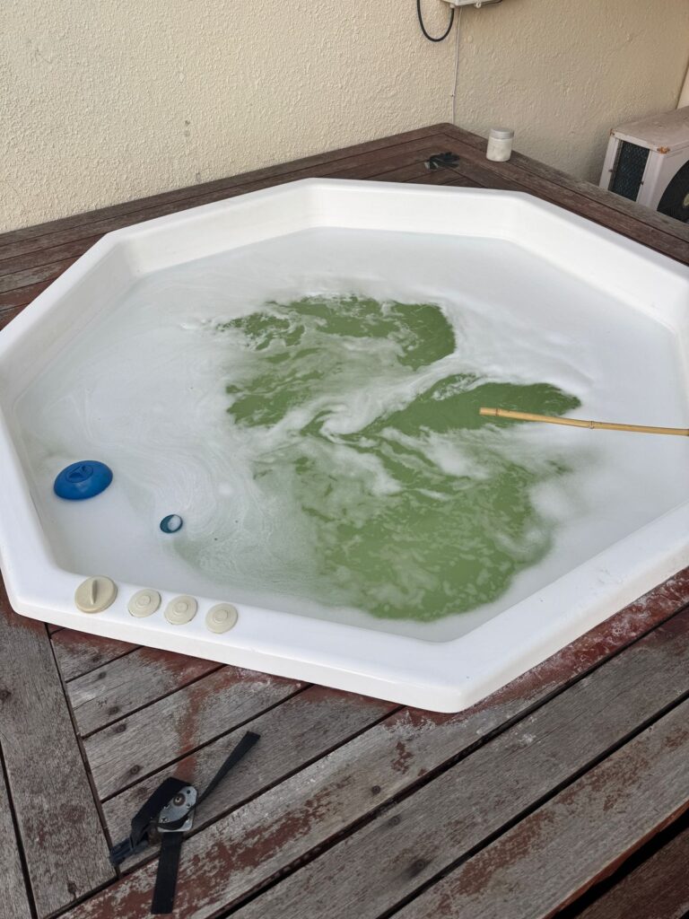 pool cleaning somerset west